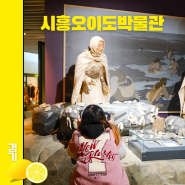 서울근교 아이와가볼만한곳 시흥오이도박물관 어린이체험관 예약 필수