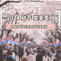 2024 제주 전농로 왕벚꽃축제 기간 장소 일정 소개