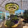 인천대공원 대형 식물원 카페 빌리(애견동반 가능)