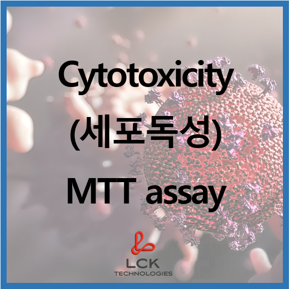 [Application] Cytotoxicity (세포독성)/ MTT assay : 네이버 블로그