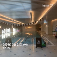 [2024 새해 목표 이루기] 수영 강습 복습