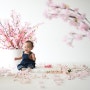 인천 돌사진 아기 벚꽃 사진 부평 아기 기념일 사진관 글림스 스튜디오