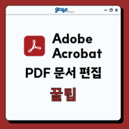 [그루네트웍스] Adobe : Acrobat 꿀팁 ✨