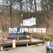 #56. 천안 태학산자연휴양림(솔캠실패)