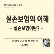 [실손보험] 실손의료보험의 의미 및 역사 이해하기