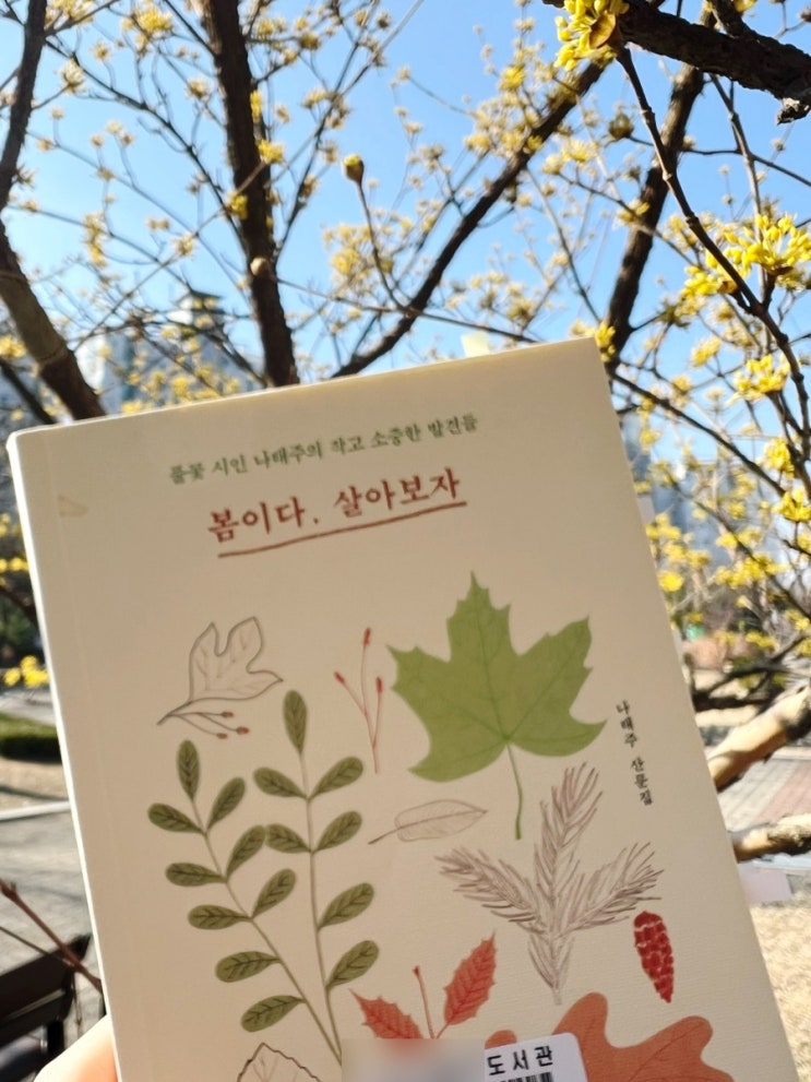 산문책 추천 | 봄이다 살아보자 | 풀꽃 시인 나태주 : 네이버 블로그