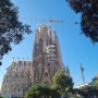 [스페인 자유여행11] 바르셀로나 마이리얼트립 가우디투어✨️사그라다 파밀리아 성당