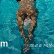 수영일기 _ 자유수영으로 인터벌 / 대시 훈련 (ft. 강사님 피드백)