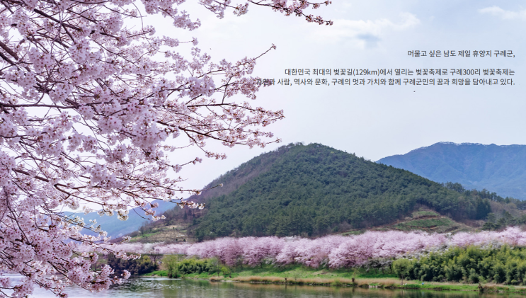 2024년 전국 벚꽃축제 일정 - 구례300리 벚꽃축제 3.22(금) ~ 3....