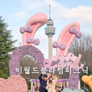 이월드 벚꽃축제 블라썸피크닉 포토존 현재 개화상황