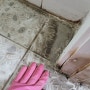 물때, 백화, 시멘트 제거 방법으로 경주 공용화장실 청소하기