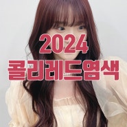 부산해운대미용실 2024 트렌드 콜리레드염색 20% 이벤트중