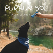 국제 강아지의 날: National Puppy Day [Pureun Sol]