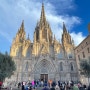 [바르셀로나 여행] 고딕지구 바르셀로나 대성당 마켓