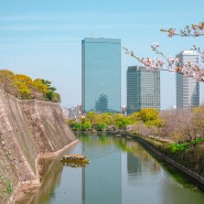 일본 오사카 교토 여행 벚꽃 개화 시기 오사카성 아라시야마 니조성