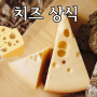 알아두면 도움이 되는 치즈 상식