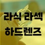 대전에서 방문한 라식 부작용 시력저하 라식용 하드렌즈로 교정