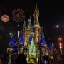 미국 3주 여행, Disney World (2) | 올랜도 디즈니월드 매직킹덤에서 16시간,, 불꽃놀이 봤으면 또 어트랙션 타러 가!