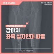 강아지가 다리를 구부리지 못하고 들고다녀요, 좌측 십자인대 파열 (TPLO) [부산 조양래동물의료센터]