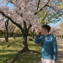 오사카성 니시노마루 정원 벚꽃축제 관광객 사람 적은 곳 (사진스팟/오사카주유패스/입장료)