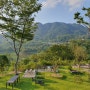 창원 동읍 카페 :: '용강포레' 자연과 어우러지는 정원이 아름다운 곳