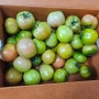 부산 강동 토마토 4S(일명 강동짭잘이)성주 꿀참외
