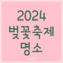2024년 벚꽃 개화 시기 총정리 축제 명소 추천