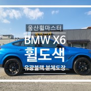 울산 BMW X6 유광블랙 분체도장 휠 도색 / 울산 휠 복원, 울산 휠 수리