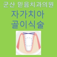 군산 미장동치과 자가 치아 골 이식술