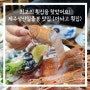 성산일출봉 맛집, 제주 최고의 성산 아놔고 횟집