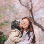 부산근교 벚꽃 울산 서생포왜성 숨은 경남 벚꽃명소