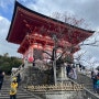 꼭 읽고 가세요 최신 오사카,교토 날씨 [24년 3월20-22]