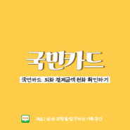 국민카드 USD 해외결제 원화 청구 비용 확인 방법