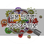 일본여행 가실때 주의, 연쇄구균독성쇼크증후군 STSS에 관해서