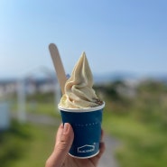 가파도 블랑로쉐 청보리 아이스크림 후기 : 가파도 여행 디저트 맛집