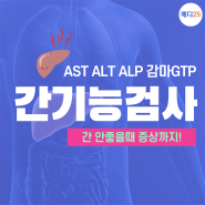 간기능검사 수치와 정상 간수치 AST ALT ALP 감마GTP 간이 안좋을때 증상!