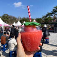 충남 봄 축제 논산 딸기축제 2024 방문 후기
