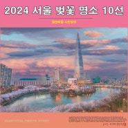 2024 벚꽃 놀이 서울 벚꽃 개화시기 명소 가볼 만한 곳 10선 촬영 스팟