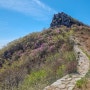 갈맷길7-2구간 부산여행(금정산성 원효봉 등산길)