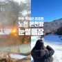 [ 무주 덕유산 리조트 노천온천 & 눈썰매장 ] 국내 겨울여행 1박2일 후기