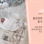 출산전후휴가 급여신청 방법 입금기간 서류(사업자/개인)