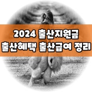 2024년 출산혜택 출산지원금 부모급여 출산급여 총정리