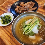 제천냉면맛집/하소리냉면/초계막국수/하소리냉면초계막국수/제천고기냉면