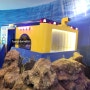 아이와 주말나들이 진해해양공원(해양생물테마파크, 진해함 전시체험관, 해전사체험관)