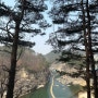 철원 한탄강 주상절리길 트레킹 (3.6 km)