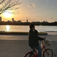 charichari 챠리챠리 자전거 대여 이용 방법 및 꿀팁 🚲 -일본 후쿠오카