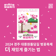 2024 경주 대릉원돌담길 벚꽃축제 더 재밌게 즐기는 법!