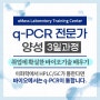 q-PCR 전문가 양성과정(3일) - 5.29~31