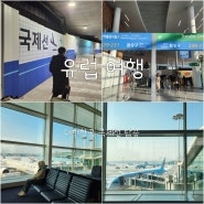 독일 환승 김해공항 대한항공 위탁 수하물 인천국제공항 탑승