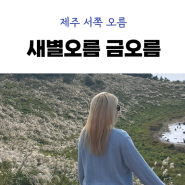 제주 서쪽 오름 새별오름 금오름 소요시간 주차장 정상 풍경